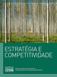 Estratégia e Competitividade - UFPR